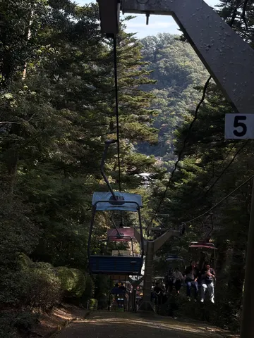 森を抜ける風の旅路