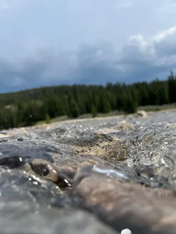 水面に映る空と森