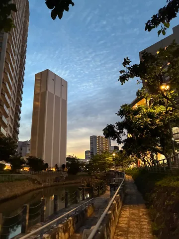 都会のオアシス、夕暮れ時の水辺