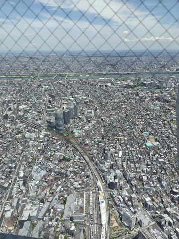 広がる都市の網目