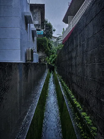 都会の奥、雨に潤む水脈