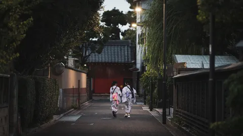 静かに歩む夏の夜道