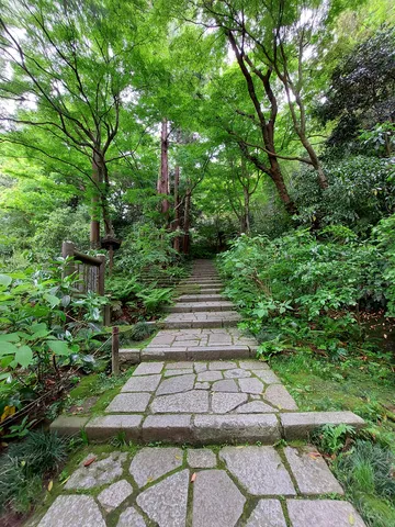 緑深き石畳の参道