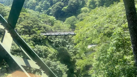 緑深き渓谷、静寂の吊り橋