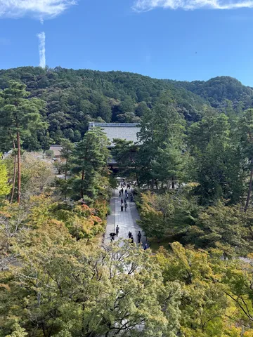 森と寺院の静かな道