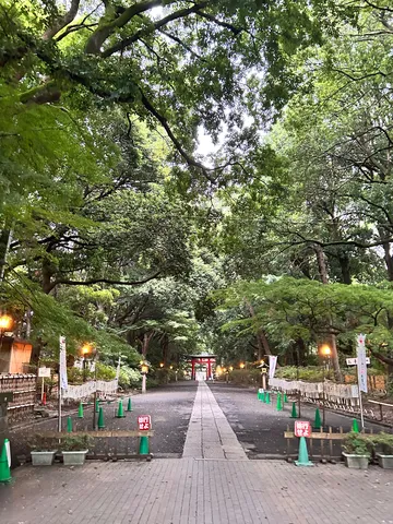 樹陰の参道と鳥居