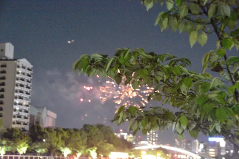 都会の夜空に咲く華