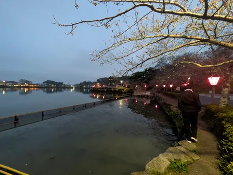 灯りと水面の静かな夜