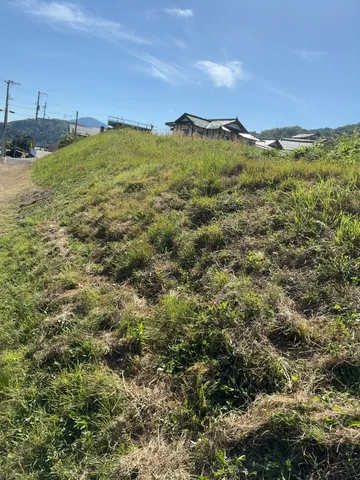 この草、誰が刈ったの？と瓦屋根が囁く午後