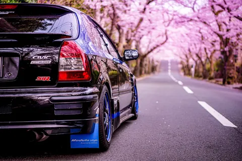 桜並木に映えるブラックSiR