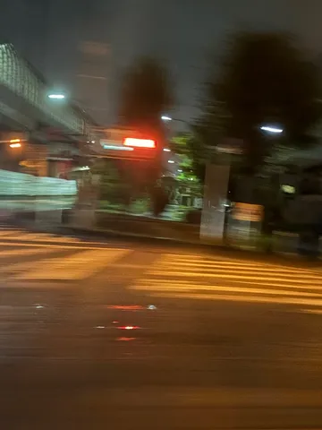 夜更けの縁を渡る光