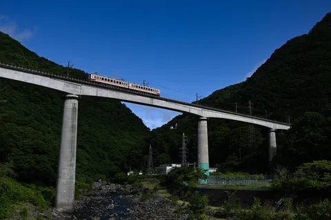 緑深き谷を渡る白い列車