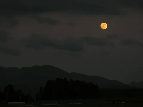 寂寥の月明かり