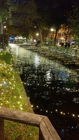 光きらめく水辺の夜会