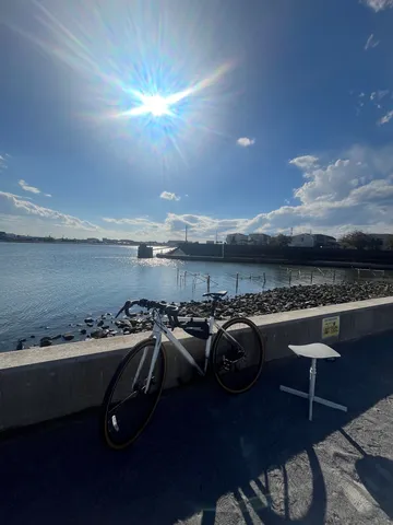 光を刺す岸辺の自転車