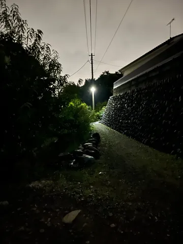 夜更けの灯火、静寂の小道