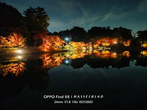 夜風に灯る紅葉の反射