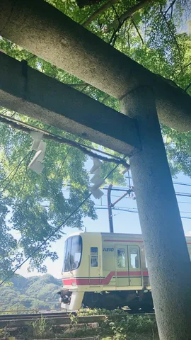 鳥居と電車、新緑のコントラスト