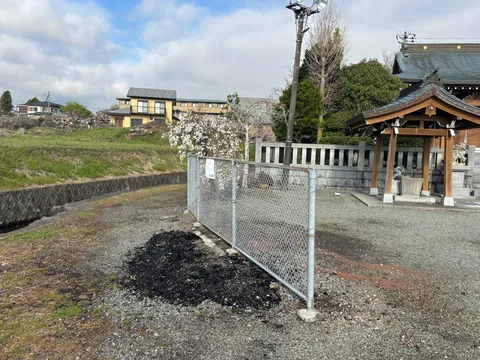 芽吹き前の静かな境地