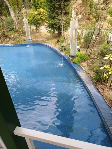 水辺の癒やし、光と緑のコントラスト