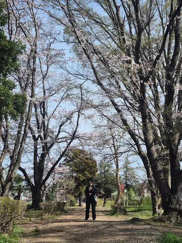 春の訪れ、一本の道
