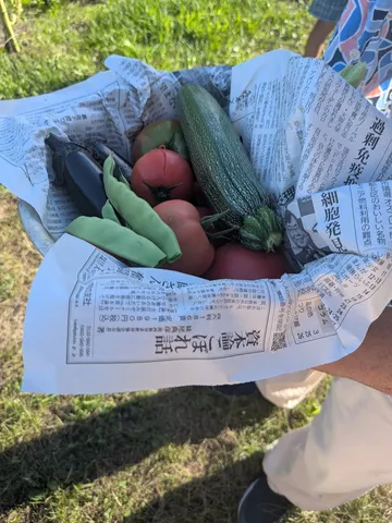 収穫の恵み、新聞紙で包んで