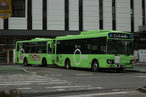 緑の路を走る二階バス