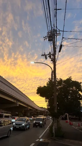 夕暮れの街と電線の詩