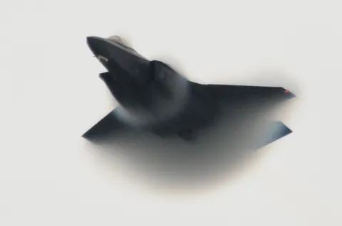 白と黒の飛翔する影