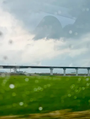 雨窓に映る緑の景色