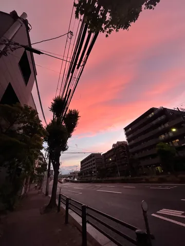 燃えるような空と街路樹