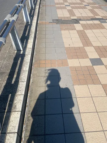 日差しと影のコントラスト