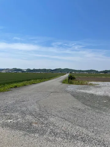 どこまでも続く、緑と空の道