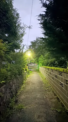 灯りと緑の薄暮小径