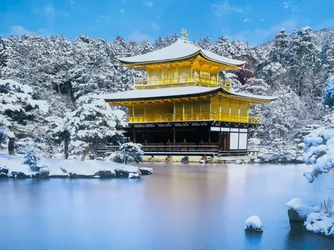雪化粧の黄金の輝き