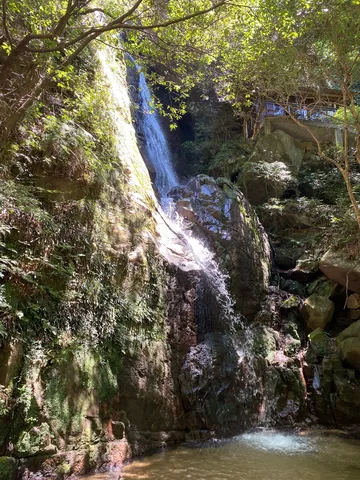 緑に包まれる清流の滝