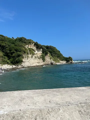 自然が織りなす青と緑