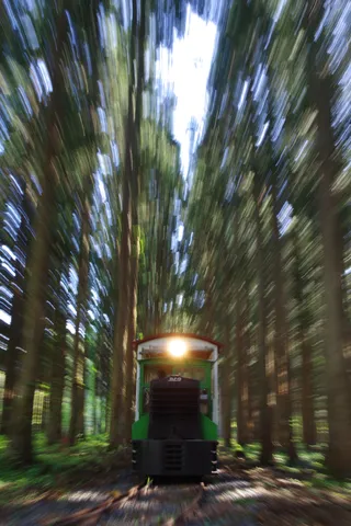 森を駆け抜ける緑の機関車