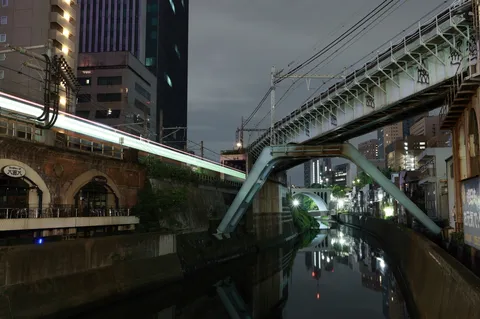 夜の水辺に走る影