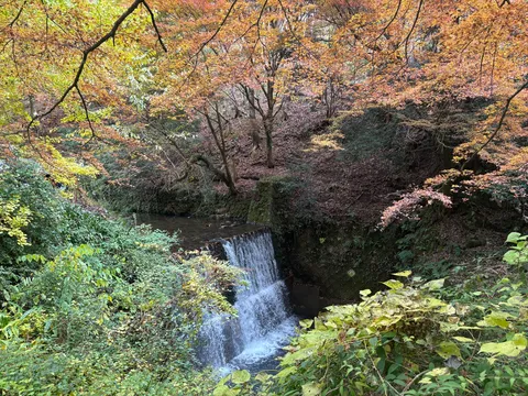 落ち葉と滝の水芸ショー