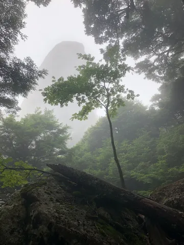 霧に包まれた山の神秘