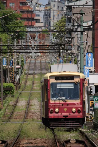 電線ジャングルを行く路面電車