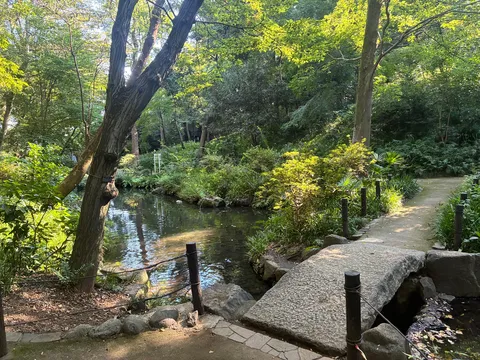 木漏れ日が揺れる水の影