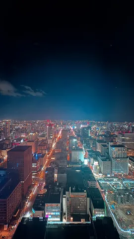 夜の街、光の使いすぎじゃない？