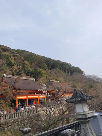 山里の朱色と桜の綻び