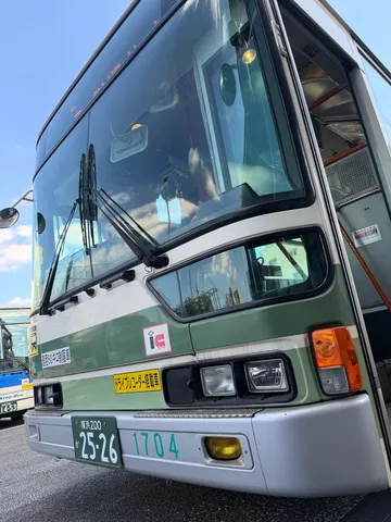 緑と銀の未来感