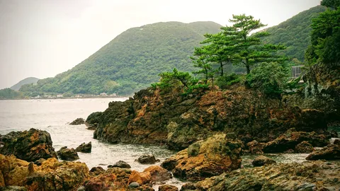 波打ち際、岩と緑のコントラスト