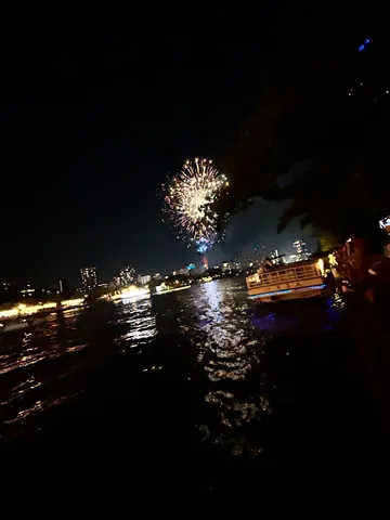 水辺に咲く夜空の花