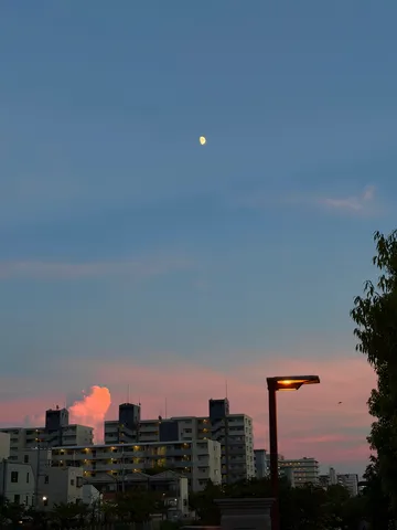 都会の空に浮かぶ月と灯り