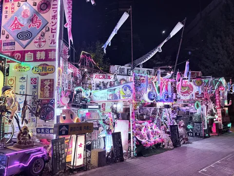ネオンに泳ぐ夜の商店街